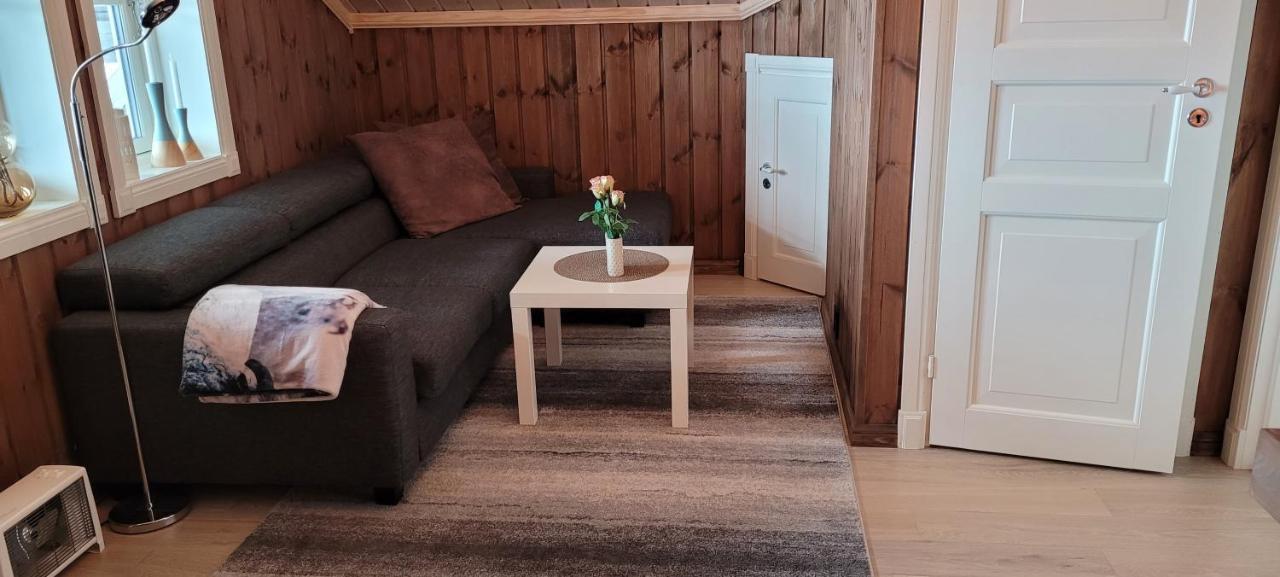 Wonderful Cabin With Amazing Mountain - View Lifjell Exterior photo