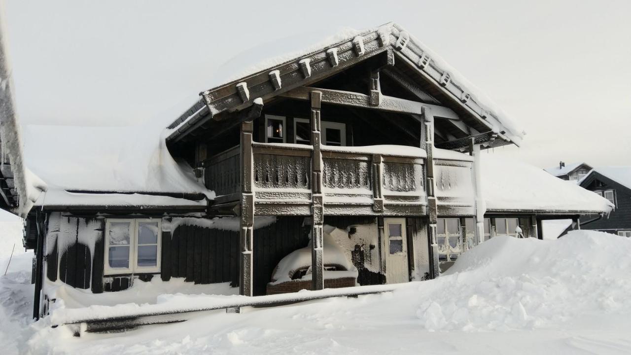 Wonderful Cabin With Amazing Mountain - View Lifjell Exterior photo