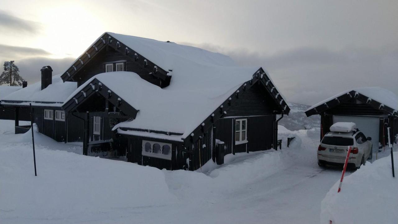Wonderful Cabin With Amazing Mountain - View Lifjell Exterior photo