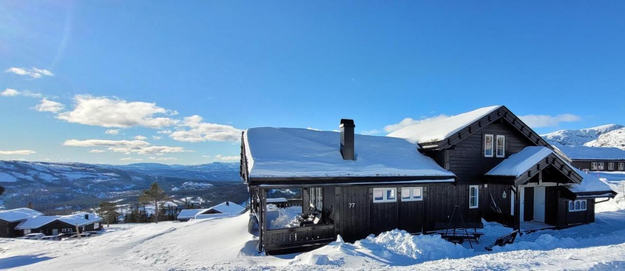 Wonderful Cabin With Amazing Mountain - View Lifjell Exterior photo